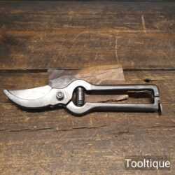 Vintage Parrot Beak Secateurs - Sharpened Ready For Use