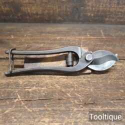 Vintage Marples & Sons Parrot Beak Secateurs - Fully Refurbished Sharpened