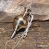 Vintage 2.5” 4-Ounce Steel Tipped Brass Plumb Bob - Refurbished