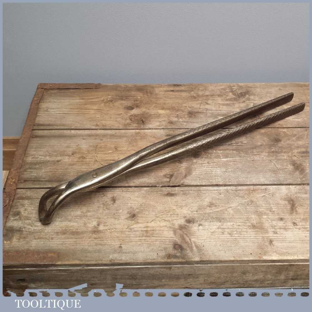 Arnolds & Sons 23″ Veterinary Dentistry or Farrier Tool
