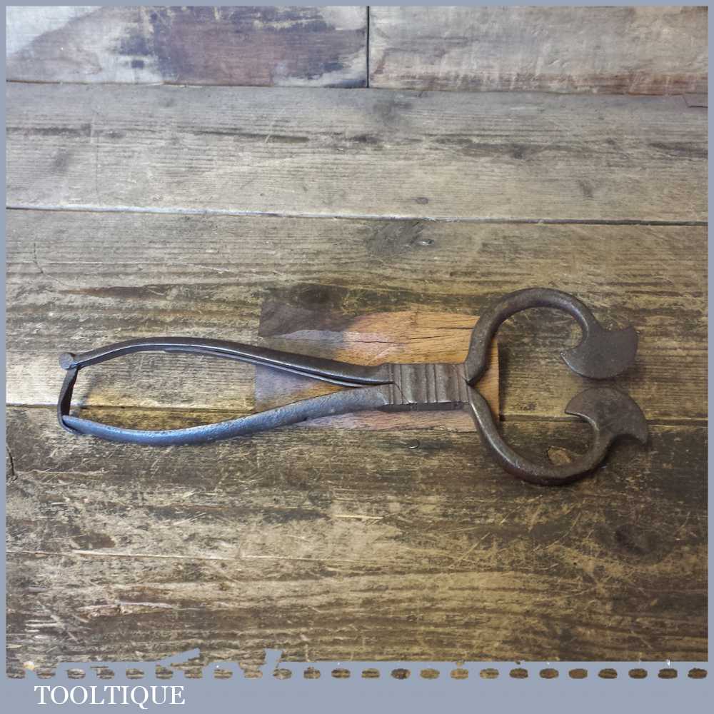 Ornate Antique 18th C Named Decorative Sugar Nippers - Good Condition