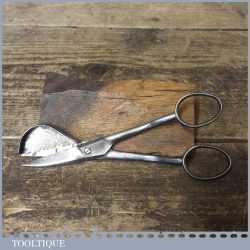 Antique Gregg’s Candle Wick Trimmers Or Scissors - Good Condition