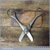 Unusual Vintage Heavy Duty Dumpy Scissors - Stamped Makers Name