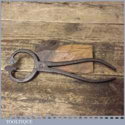 Antique Sugar Nips Or Nippers In Rusty Condition Suitable Kitchenalia Prop