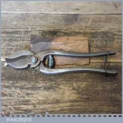 Vintage pair of gardener’s parrot beak pruning secateurs in good working order. These cut nicely and have been sharpened ready for use. Note: Although this has a good spring these are still available to buy should you ever need one in the future.
