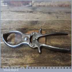 Vintage Burd Lamorra Burdizzo Italy 9" Bloodless Emasculator Castration Tool