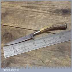 Rare Vintage Horn Handled Solingen Pear Knife By Nicht Rostend