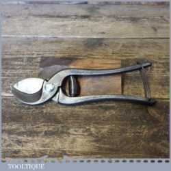 Vintage Pair Of Parrot Beak Secateurs - Good Working Order