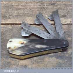 – Antique 19th century Bloodletting fleam with beautiful horn covered handle