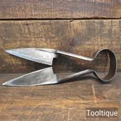 Vintage 12” Wm Marples & Sons Cast Steel Sheep Shears - Sharpened