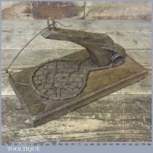 Antique Animal Trap Measuring 10” Long - Banjo Shaped Frame Wire Netting Antique Animal Trap Measuring 10” Long - Banjo Shaped Frame Wire Netting