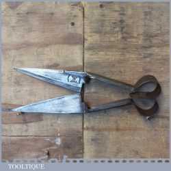 Vintage Pair Ward & Payne 6 ½” Premium Cast Steel Sheep Shears - Ready To Use