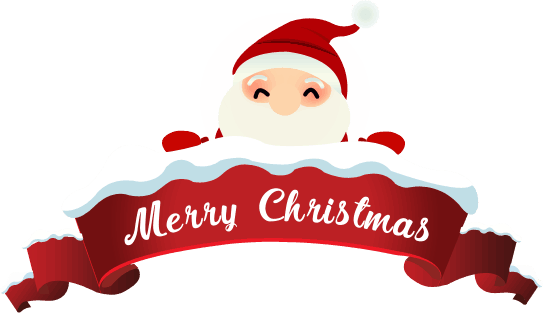 Christmas primary books